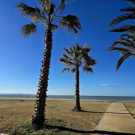 Sunny - Sea View * דורס